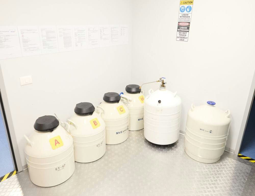 Liquid nitrogen storage tanks for frozen eggs and embryos at SAGA Clinic